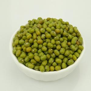 Hot Sale High Quality Fresh Export Green Mung Bean