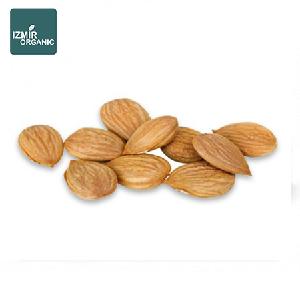 Bitter Apricot Kernel