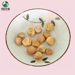 Dried raw bitter apricot/Grade   bitter almond kernel/Hot selling bitter almond