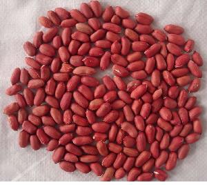 China red skin peanuts in shell 2-4 grains