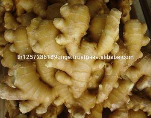 Fresh Ginger 100g-150g-200g-250g