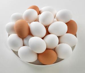 Fresh Chicken Table Eggs/Fresh Chicken Hatching EGGS