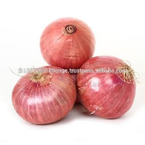 farm lowest price fresh red onion and yellow onion red onion 20kg from Thailand