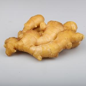 Wholesale organic fresh ginger price