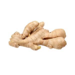 China 1kg fresh ginger price with high quality