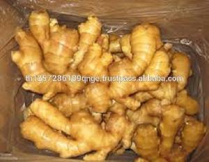 Bulk Fresh Ginger