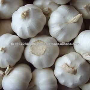 Pure White GarlicPure White Garlic