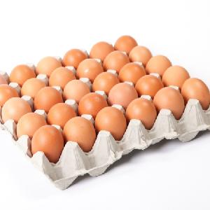  Farm  Fresh  poultry  white shell  chicken  table eggs