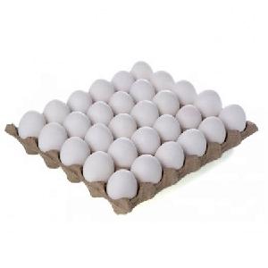 Farm Fresh Chicken Table Eggs Brown and White Shell Chicken Eggs