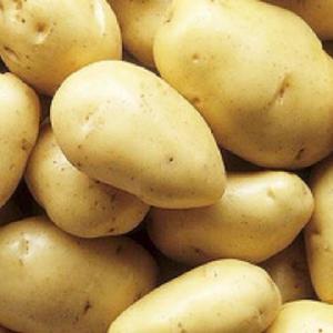 Yellow Holland Potato/Fresh Irish Potatoes