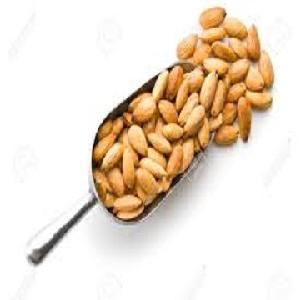 USA Almond Nuts Price / Almond Kernel / Almond Wholesale