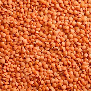 Quality Bulk  Dried   Lentils  Red  Lentils  Green  Lentils 