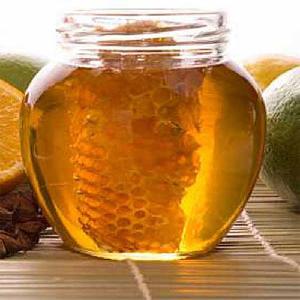 Bulk Pure Natural Pine Tree Turkish Honey in Tin Drum