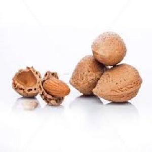 High Quality Organic Raw Almonds Nut