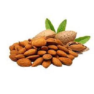 Premium quality Californian Almond Nuts Price / Almond Kernel / Almond