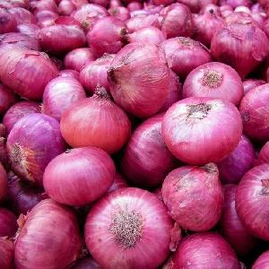 hot selling Fresh Red Onion / Yellow Onion 4 - 6cm 5 - 7 cm 8 - 10 cm