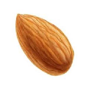 High Quality California Almond Nuts