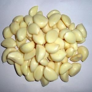 New Crop Peeled garlic fresh garlic price