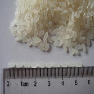 Japonica Rice ( Similar to short/Medium Grain White Rice)