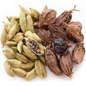 Premium Quality Green Cardamom For Export From Thailand
