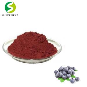 Best bilberry extract anthocyanin powder supplement health benefits foods anthocyanin