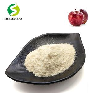 High quality natural  100 %  apple  cider vinegar extract powder