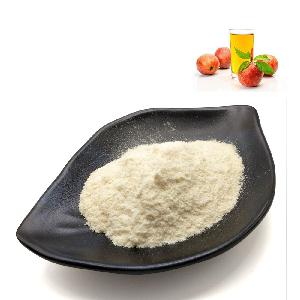 Free Sample 100% Natural Organic Apple Cider Vinegar Powder