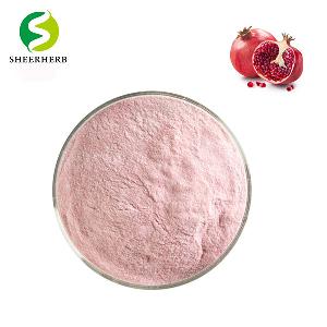 wholesale frozen dried pomegranate juice concentrate instant powder drink fruit flavoured from pomegranate extrat