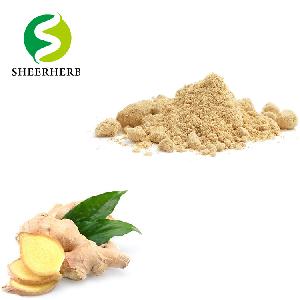 Black Ginger Extract Powder Pure Natural Ginger Extract Red ginger powder