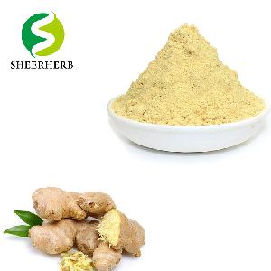 Instant Ginger Juice Powder ginger extract powder organic ginger powder