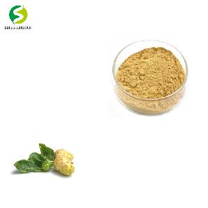 Noni baking powder Noni Extract Powder fresh Noni Fruit Powder 10:1