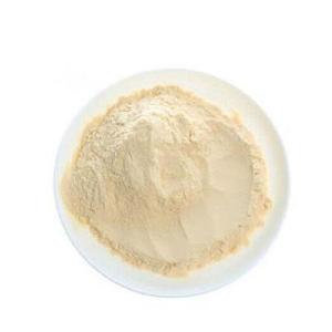 Dried yellow lemon peel tea powder yeast lemon balm juice extract keto mix powder