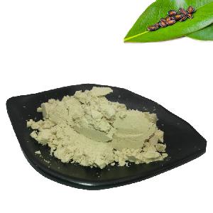 China factory supplier Plant Protein watermelon seed 75% Protein Powder