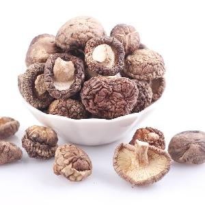 Wholesale Dried shiitake mushroom