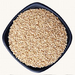 Wholesale High Quality Roasted Organic white sesame seeds
