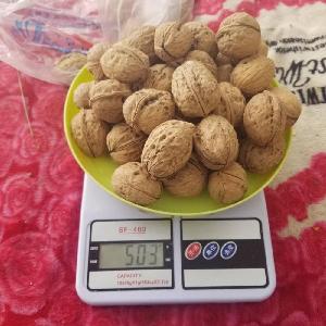 Walnut In shell For Sale Xinjiang Province