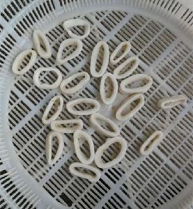 New Season Good Price Frozen Black Squid Ring