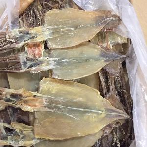 Hotsale Good Factory Price Frozen Dry Squid