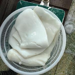 New Season Frozen Peru Giant Squid Fillet