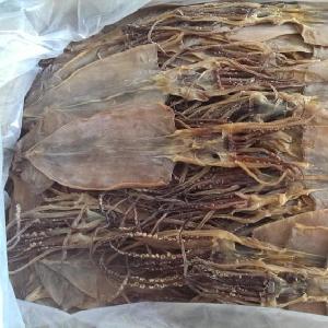 New Process Good Quality 5 Times Socking Dried Squid Dry Squid