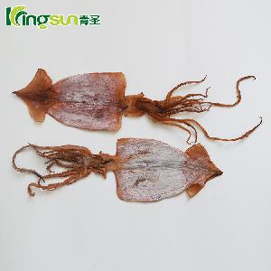 New Season Frozen Dried Squid