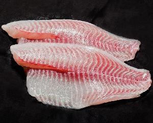 High Quality farm raised frozenTilapia fish tilapia fillet with wholesale price