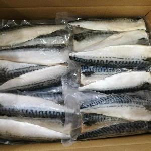 Hotsale Good Price Frozen Atlantic Mackerel Fillets in Mackerel