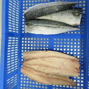 Good Price Frozen Atlantic Mackerel Fillet in Mackerel