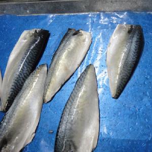 Top Quality Frozen Atlantic Mackerel Fillets For Sell