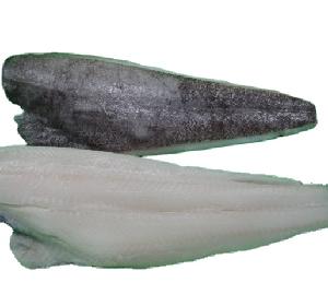 High quality Frozen Halibut Fillet
