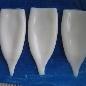 Good Price High Frozen Illex Squid Tube U5 U7 U10 Squid Tube