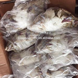 New Arrival Blue Swimming Crab