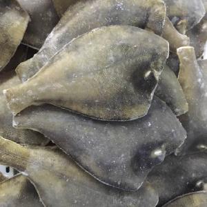 Frozen Yellowfin Sole flounder HG