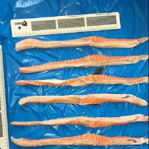 Frozen Atlantic Salmon Belly